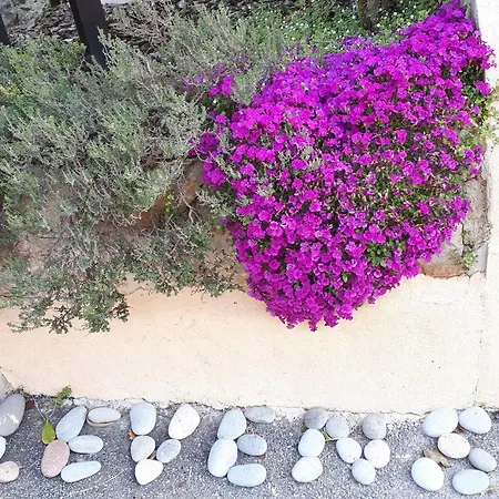 Bed & Breakfast Lou Mas Dau Paigran Saint-Blaise (Alpes-Maritimes)