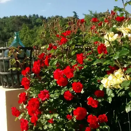 Lou Mas Dau Paigran * Saint-Blaise (Alpes-Maritimes)