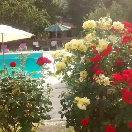 Lou Mas Dau Paigran Bed & Breakfast *