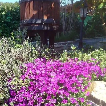 Lou Mas Dau Paigran * Saint-Blaise (Alpes-Maritimes)